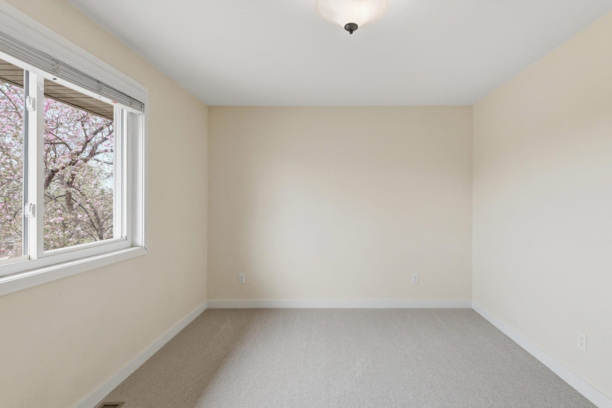 4744 Essex Ct — photo 8 of 10